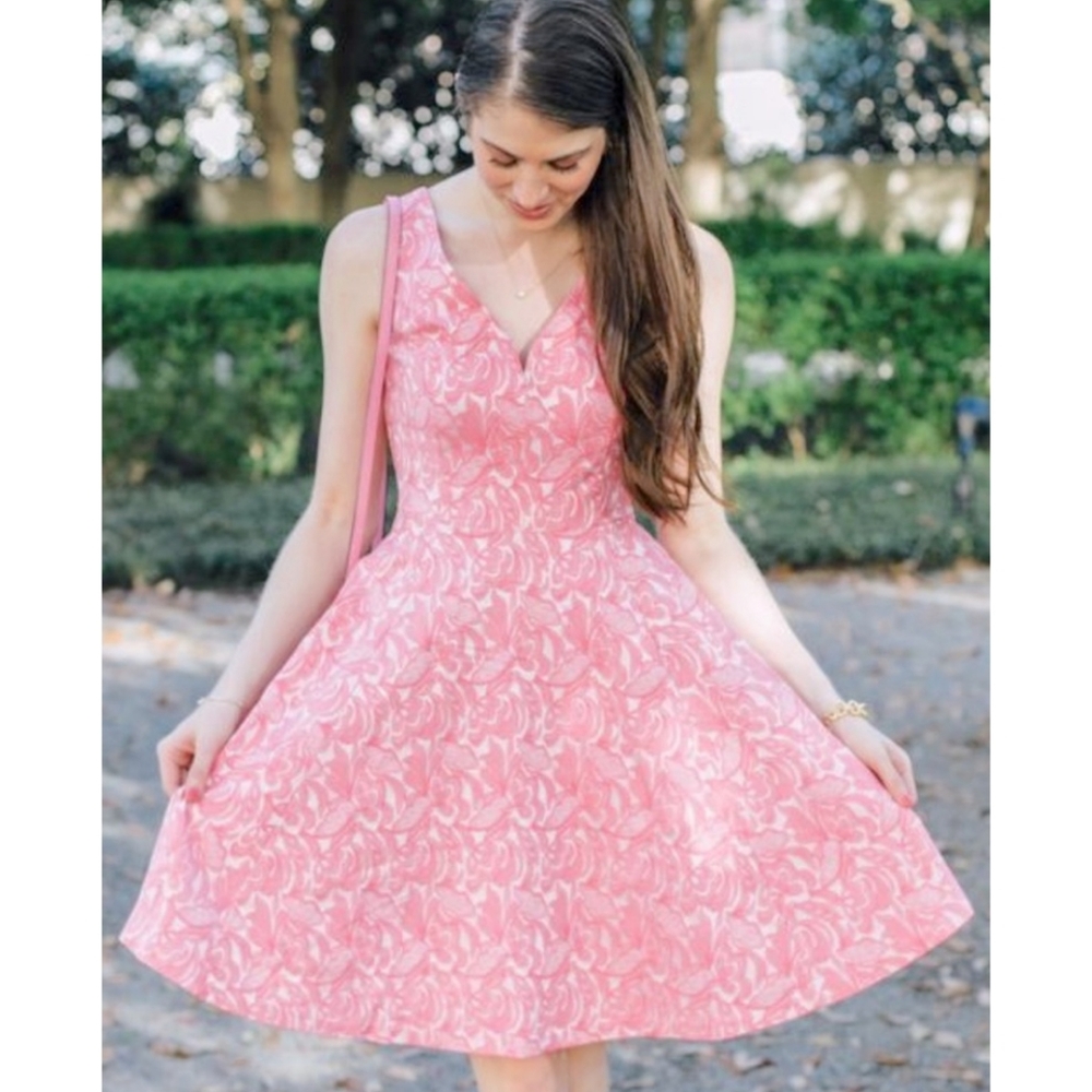 Anthropologie Maeve pink Jacquard fit and flare dress
